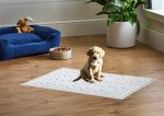 Extra Large Super Absorbent Dog Training Pads