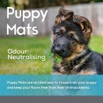 Extra Large Super Absorbent Dog Training Pads