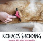 Deshedding Brush for Dogs and Pets