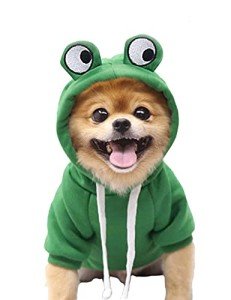 Cute Frog Costume Hoodie for Dogs and Cats