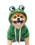 Cute Frog Costume Hoodie for Dogs and Cats