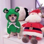 Cute Frog Costume Hoodie for Dogs and Cats