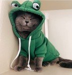 Cute Frog Costume Hoodie for Dogs and Cats