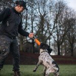 Fenrir 12" Fire Hose Dog Tug Toy for Large Breeds