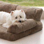 Orthopedic Waterproof Dog Sofa Bed - Medium
