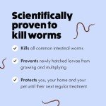 Worming Tablets for Dogs - 2 Pack