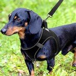 Joytale Soft Mesh Reflective Dog Harness - Black