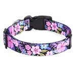 Floral Pink Adjustable Dog Collar for Small Dogs