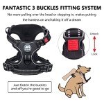 PoyPet Reflective No-Pull Harness for Medium Dogs