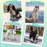 Dog Shoes for Injured Paws - Adjustable & Anti-Slip
