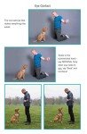 Puppy Training Made Easy: The Top UK Guide