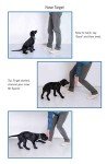 Puppy Training Made Easy: The Top UK Guide