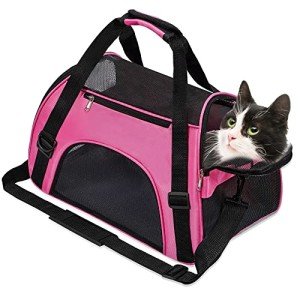 Foldable Soft-Sided Pet Carrier Bag (Pink, Medium)
