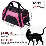 Foldable Soft-Sided Pet Carrier Bag (Pink, Medium)
