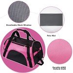 Foldable Soft-Sided Pet Carrier Bag (Pink, Medium)