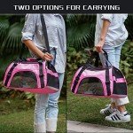 Foldable Soft-Sided Pet Carrier Bag (Pink, Medium)