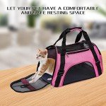 Foldable Soft-Sided Pet Carrier Bag (Pink, Medium)