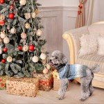 Cozy Turtleneck Dog Jumper for Fall/Winter