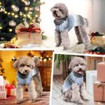 Cozy Turtleneck Dog Jumper for Fall/Winter