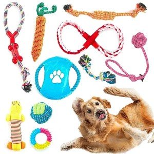 ZENO Chew Toys Set for Teething and Training