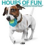 ZENO Chew Toys Set for Teething and Training