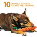 ZENO Chew Toys Set for Teething and Training