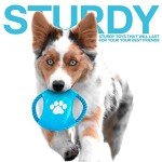 ZENO Chew Toys Set for Teething and Training