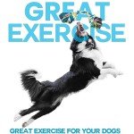 ZENO Chew Toys Set for Teething and Training