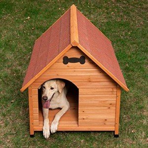 Stylish Wooden Dog Kennel for Outdoor Comfort