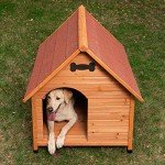 Stylish Wooden Dog Kennel for Outdoor Comfort