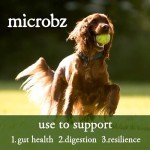 Microbz Dog Gut Health Liquid | 1 Litre