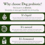 Microbz Dog Gut Health Liquid | 1 Litre