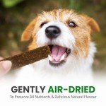 Vale Pet Foods Healthy Beef Jerky Dog Treats