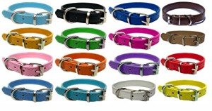 Vibrant Blue Leather Dog Collar for All Sizes