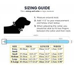 Vibrant Blue Leather Dog Collar for All Sizes