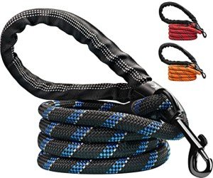 Candure 5FT Reflective Dog Leash with Padded Handle