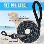 Candure 5FT Reflective Dog Leash with Padded Handle