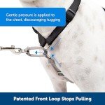 PetSafe 3-in-1 Adjustable Dog Harness & Restraint