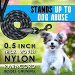 Candure 5FT Reflective Dog Leash with Padded Handle