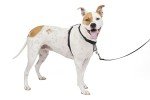 PetSafe 3-in-1 Adjustable Dog Harness & Restraint