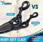 Candure 5FT Reflective Dog Leash with Padded Handle