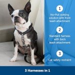 PetSafe 3-in-1 Adjustable Dog Harness & Restraint
