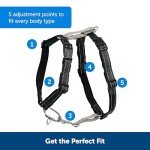 PetSafe 3-in-1 Adjustable Dog Harness & Restraint