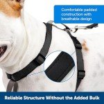 PetSafe 3-in-1 Adjustable Dog Harness & Restraint