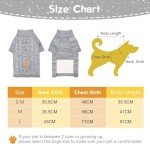 Kooltail Turtleneck Dog Sweater for Cold Weather