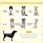 Outdoor Wooden Dog House with Openable Roof