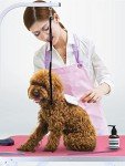 Adjustable 32" Pet Grooming Table - Pink