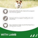 IAMS Dry Dog Food for Adult Small Breeds