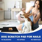 Lighterday Dog Nail Scratch Board with Snack Box