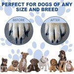 Lighterday Dog Nail Scratch Board with Snack Box